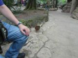 SAM_0775