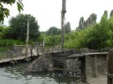 SAM_0777
