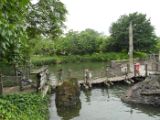 SAM_0779