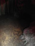 SAM_0787