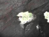 SAM_0793