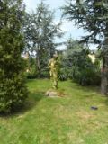 SAM_0889