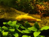 SAM_0976