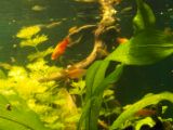SAM_0980