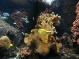 SAM_0988