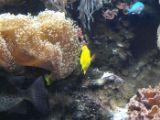 SAM_0990