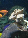 SAM_0992