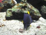 SAM_0994