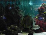 SAM_0998