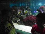 SAM_0999