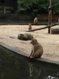 SAM_1018