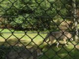 SAM_1042